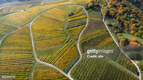 vista aérea de viñedos en la región de rheingau - hesse alemania fotografías e imágenes de stock