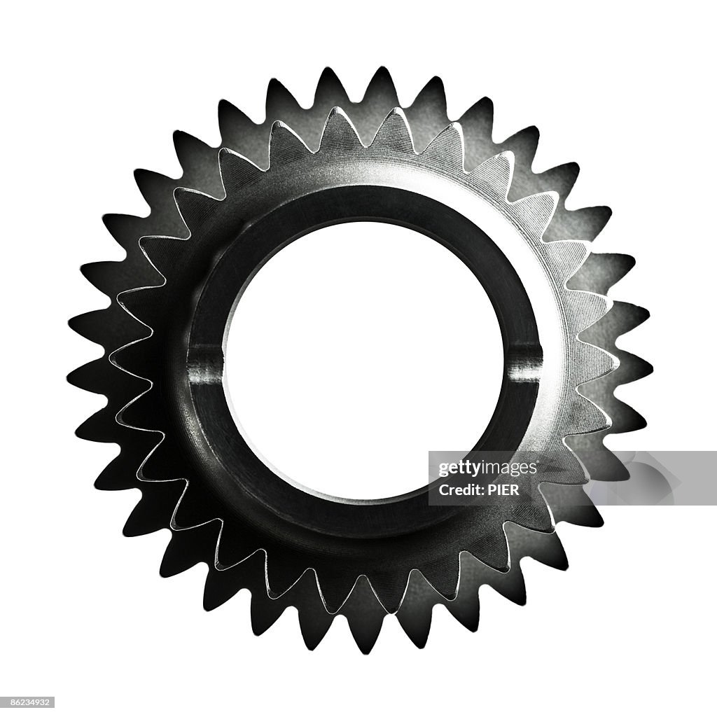 Close-up of two steel gears / cogs on white backgr