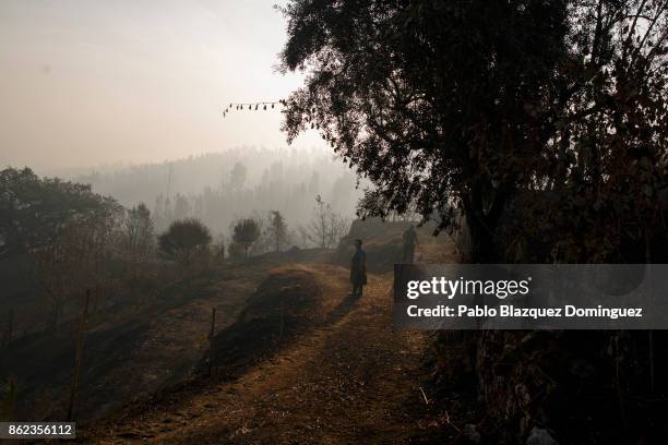 Two people walk with their buckets as the landscape is burnt near Penacova on October 17, 2017 in Coimbra region, Portugal. At least 37 people have...