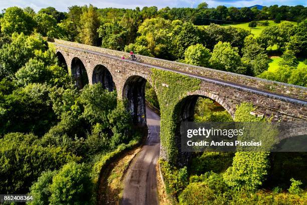 waterford greenway, ireland - viaduct 個照片及圖片檔