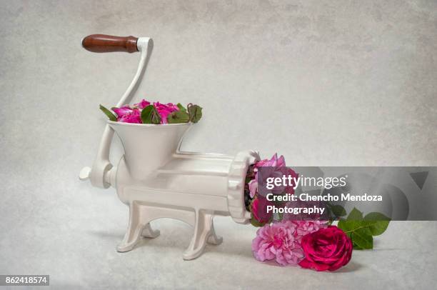 meat mincer - meat grinder stock pictures, royalty-free photos & images