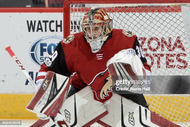 Marek Langhamer of the Arizona Coyotes prepares for a game against the Boston Bruins at Gila River Arena on October 14, 2017 in Glendale, Arizona.