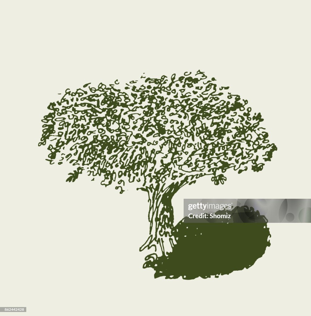 Boom hand getekend vectorillustratie
