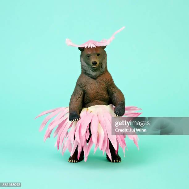 bear in flower skirt - blue bear stock-fotos und bilder