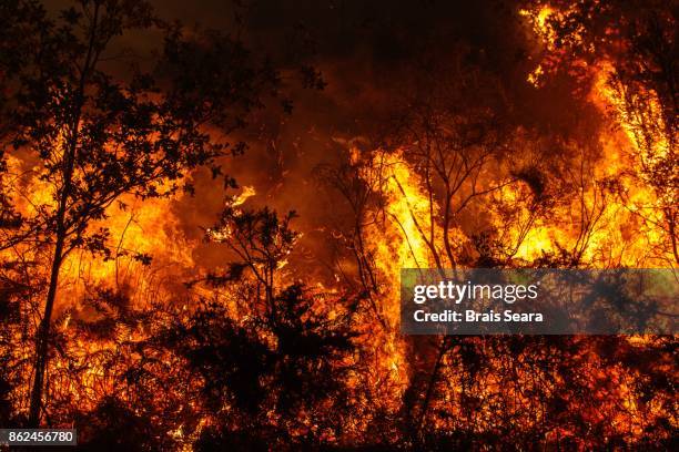 galicia fire - incêndio florestal imagens e fotografias de stock
