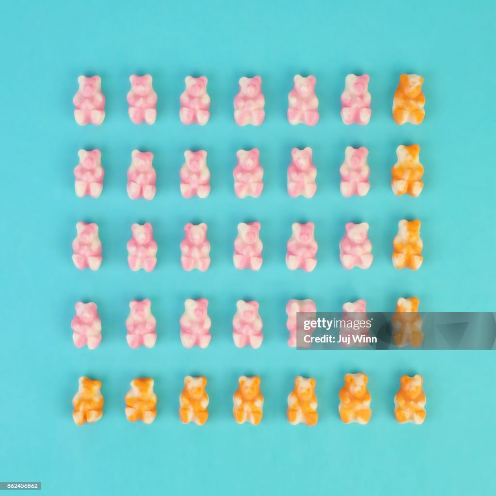 Gummy Bear Grid