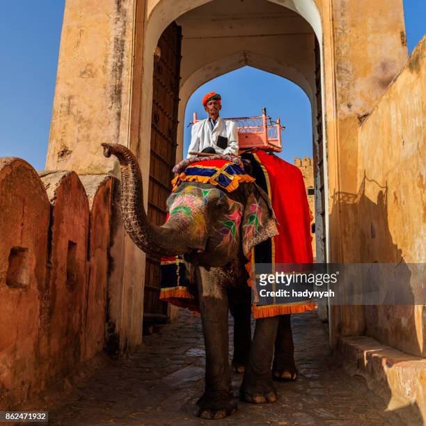 騎大象附近琥珀堡，印度齋浦爾的印度裔男子 （馴象師） - indian elephant 個照片及圖片檔