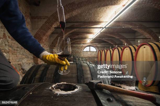 Worker takes the wine from a barrel with Barolo to check the quality on October 17, 2017 in the Barolo region , Italy. Because of the high summer...