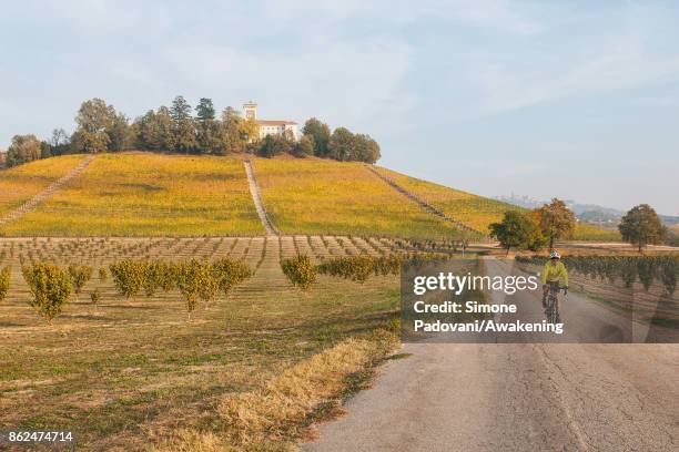 Cyclist goes on a street close to a vineyard of Barolo on October 17, 2017 in the Barolo region , Italy. Because of the high summer temperatures,...