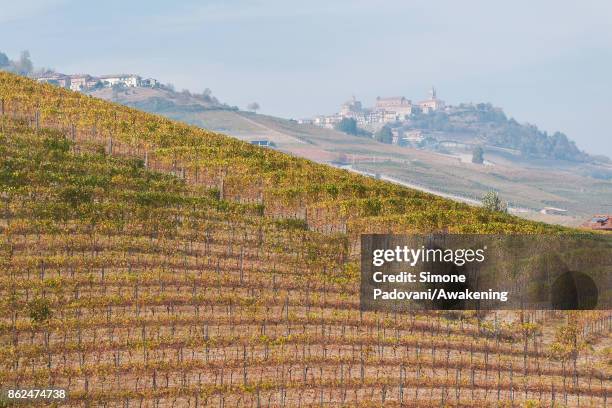 View of a vineyard of Barolo is seen on October 17, 2017 in the Barolo region , Italy. Because of the high summer temperatures, Barolo's harvest has...