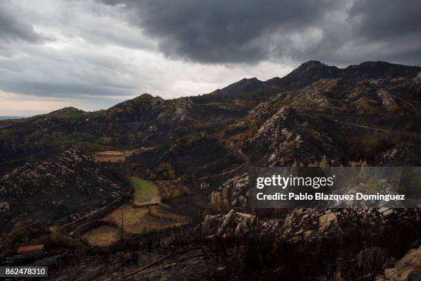 Mountains' surface are burnt near Vouzela on October 17, 2017 in Viseu region, Portugal. At least 41 people have died in fires in Portugal and 4...