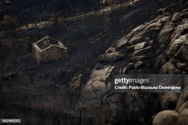 Hut is surrounded of ash near Vouzela on October 17, 2017 in Viseu region, Portugal. At least 41 people have died in fires in Portugal and 4 others...