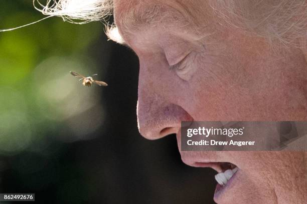 Bee flies near U.S. President Donald Trump's face as he reads his opening remarks during a joint press conference with Greek Prime Minister Alexis...