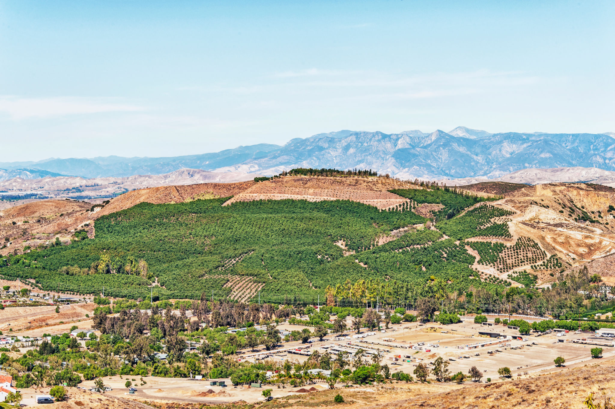 ventura county vineyard