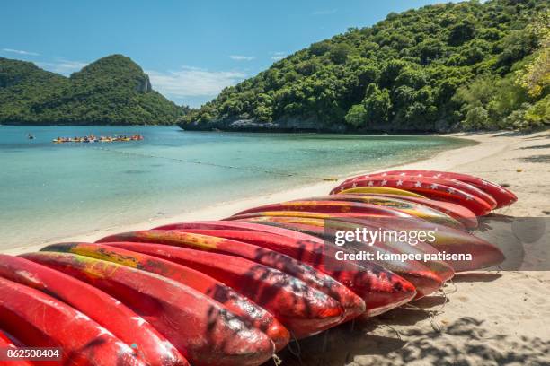 2,385 Images Of G Strings Stock Photos, High-Res Pictures, and Images ...