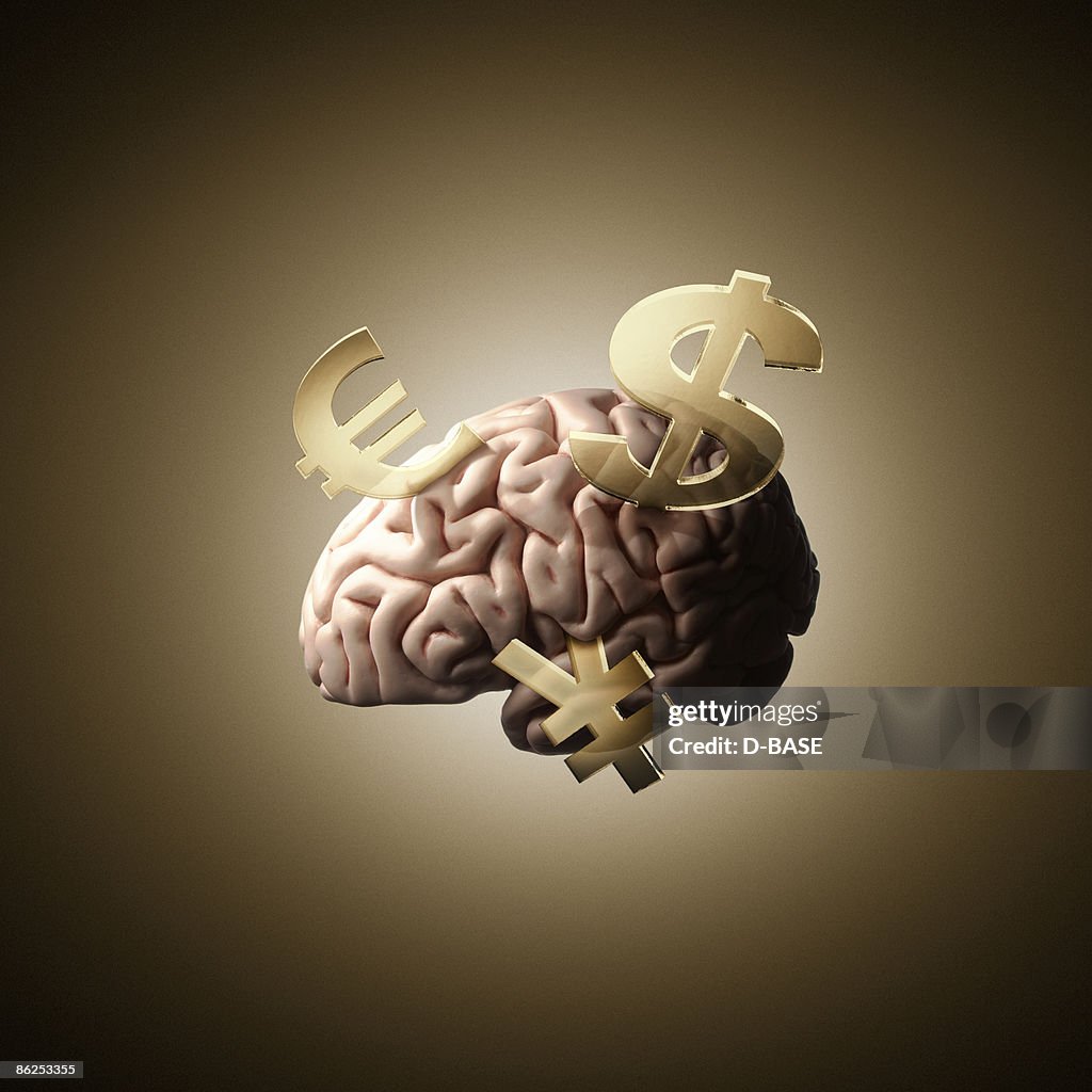 Human brain with currency sign