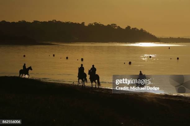 Race horses wade through the icy water and canter along the foreshore during a training session at Balnarring Beach on October 18, 2017 in Melbourne,...