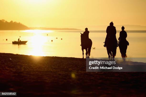 Race horses canter along the foreshore as a fisherman takes off during a training session at Balnarring Beach on October 18, 2017 in Melbourne,...