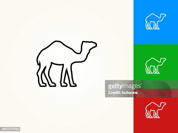 ilustraciones, imágenes clip art, dibujos animados e iconos de stock de icono lineal movimiento negro camel - camello