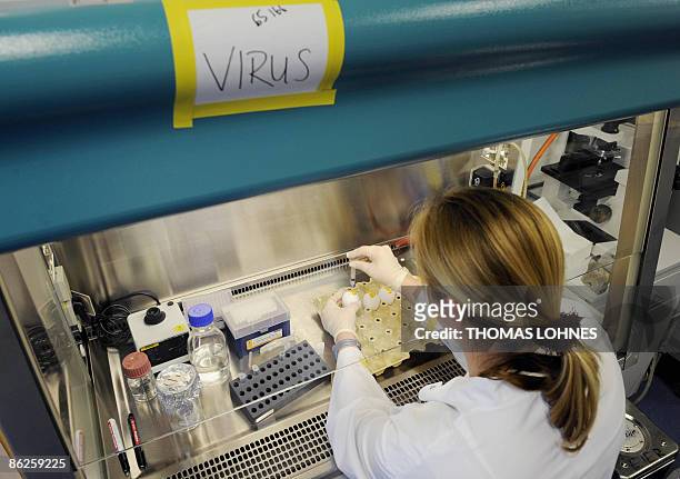 Scientist Isabell Wendel infects chicken embryos in their eggs with the swine flu virus H1N1 on April 27, 2009 at the Virology Institute for of the...