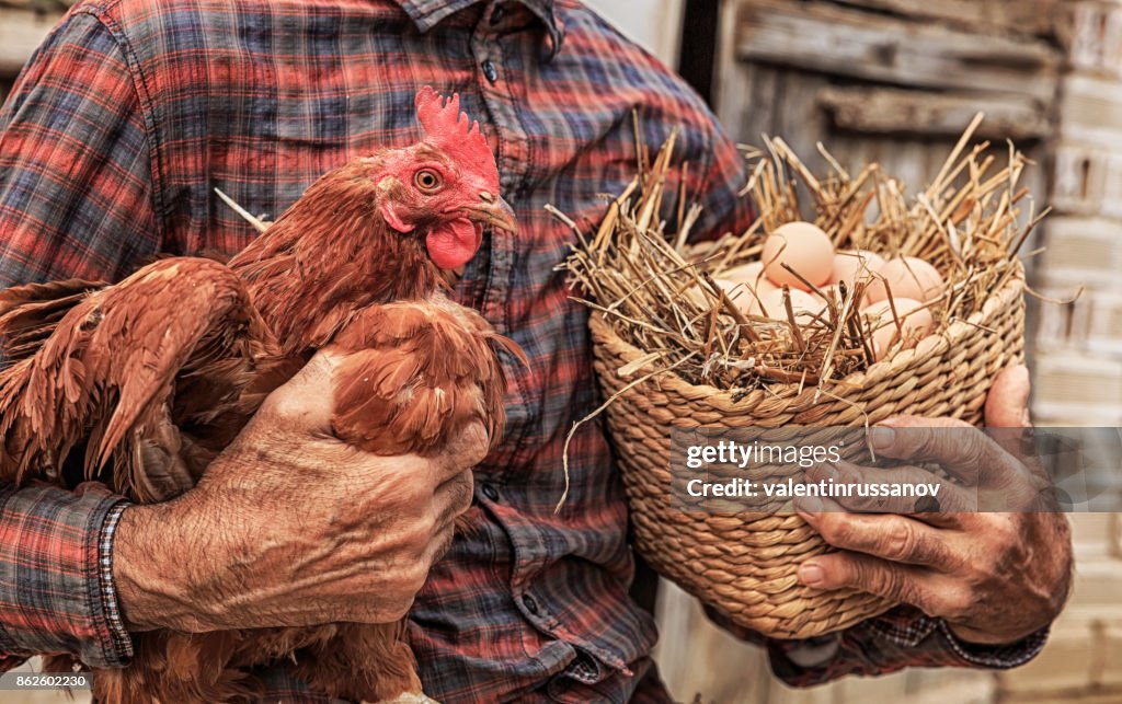 Landwirt mit Huhn und Korb mit Eiern