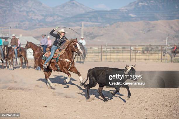 Low Ra Rodeo 216 Horse Running Low Angle Stock Photos, High-Res Pictures, and Images ...