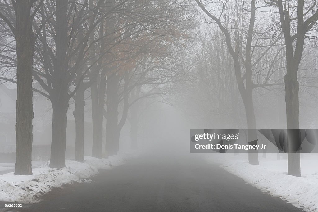 Winter Fog