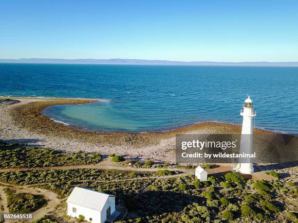 Point Lowly Map 84 Giant Cuttlefish South Australia Stock Photos, High-Res Pictures ...