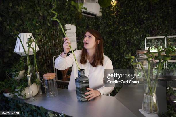 Member of staff poses in the bar area with a plant wall in the 'Future Room' of the IKEA house on October 17, 2017 in London, England. The room is in...