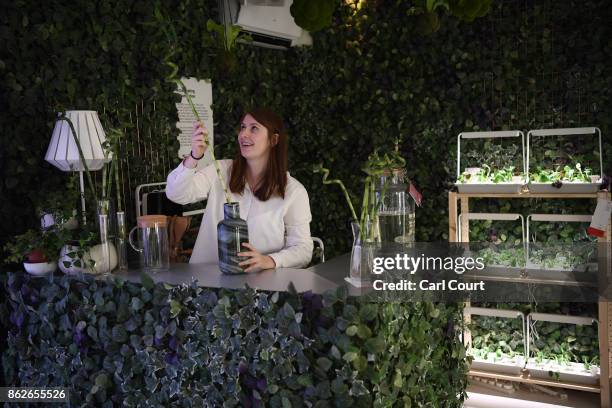 Member of staff poses in the bar area with a plant wall in the 'Future Room' of the IKEA house on October 17, 2017 in London, England. The room is in...