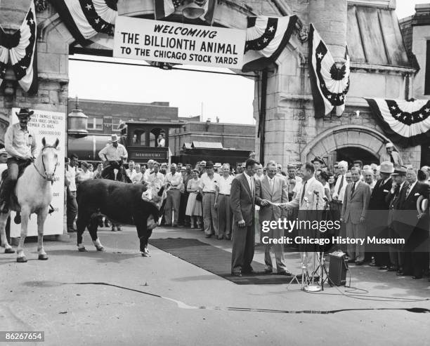 The 'billionth animal' arrived at the Union Stock Yard in 1954, a time when trucking and decentralization were beginning to threaten Chicago's...