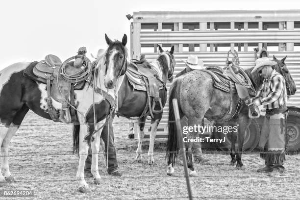 three cowboys get their horses ready to go for a ride - calça de couro de cowboy imagens e fotografias de stock