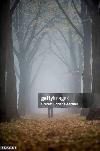 Man walks along an alley in the foggy morning on October 18, 2017 in Berlin, Germany.