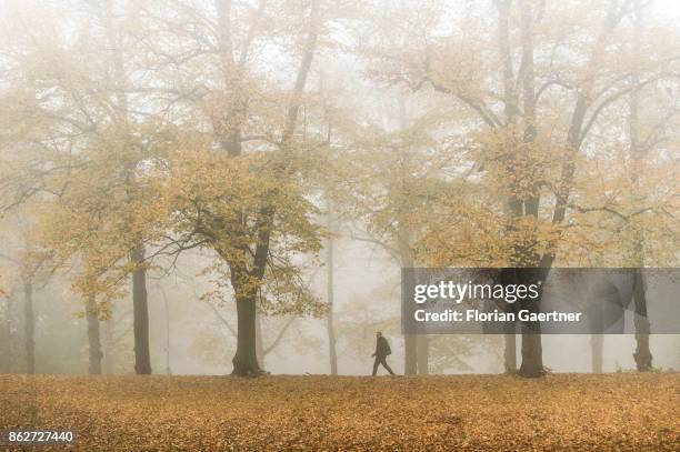 Man walks along an alley in the foggy morning on October 18, 2017 in Berlin, Germany.