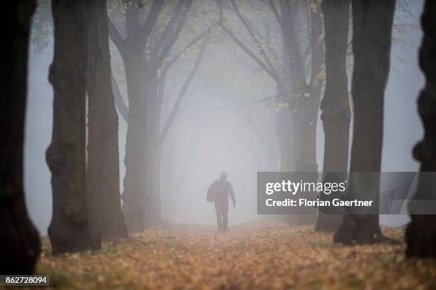 Man walks along an alley in the foggy morning on October 18, 2017 in Berlin, Germany.