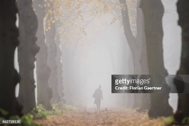 Woman walks along an alley in the foggy morning on October 18, 2017 in Berlin, Germany.