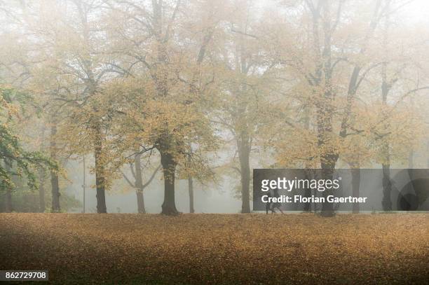 Two person walk along an alley in the foggy morning on October 18, 2017 in Berlin, Germany.