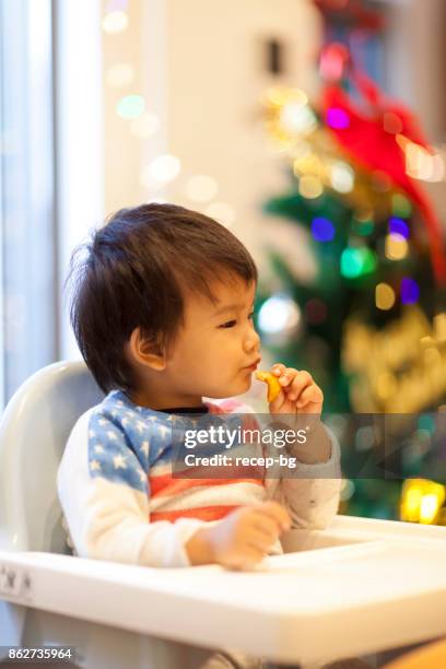 barn äter lunch på chrismtas dag - baby chicken bildbanksfoton och bilder