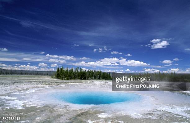 Geyser, Parc National du Yellowstone, Wyoming, Etats Unis.