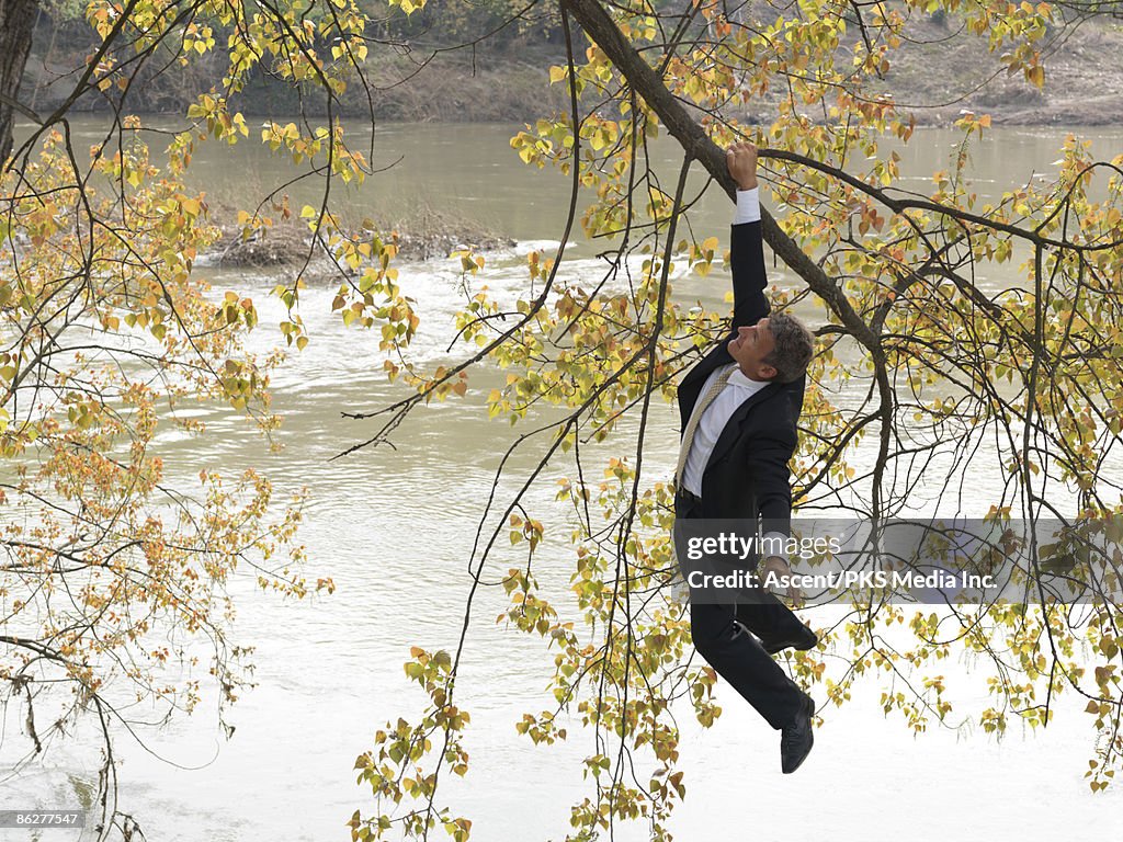 Businessman hangs onto tree limb, above river