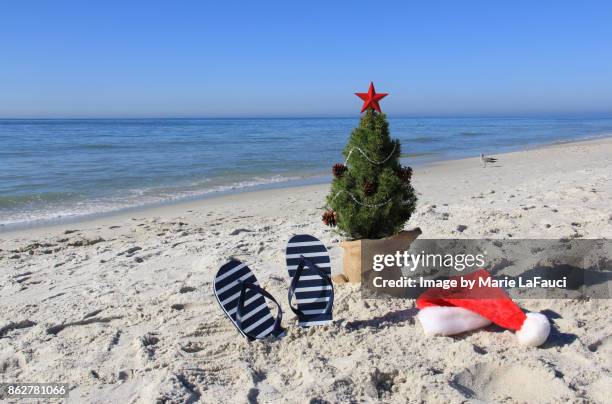 santa was here. decorated christmas tree on the beach with santa hat and flip-flops - southern christmas 個照片及圖片檔