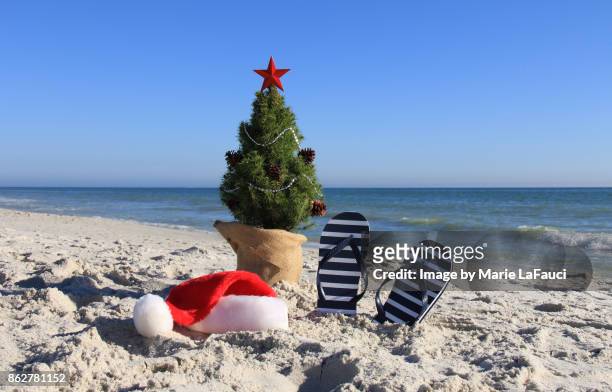 santa was here. decorated christmas tree on the beach. - florida christmas stock-fotos und bilder