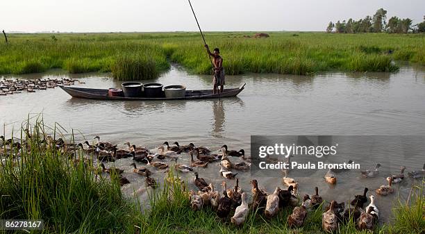 Burmese man carries clean water back to his home by boat surrounded by ducks April 26, 2009 in the Irrawaddy delta village of Pale, Myanmar . Life...