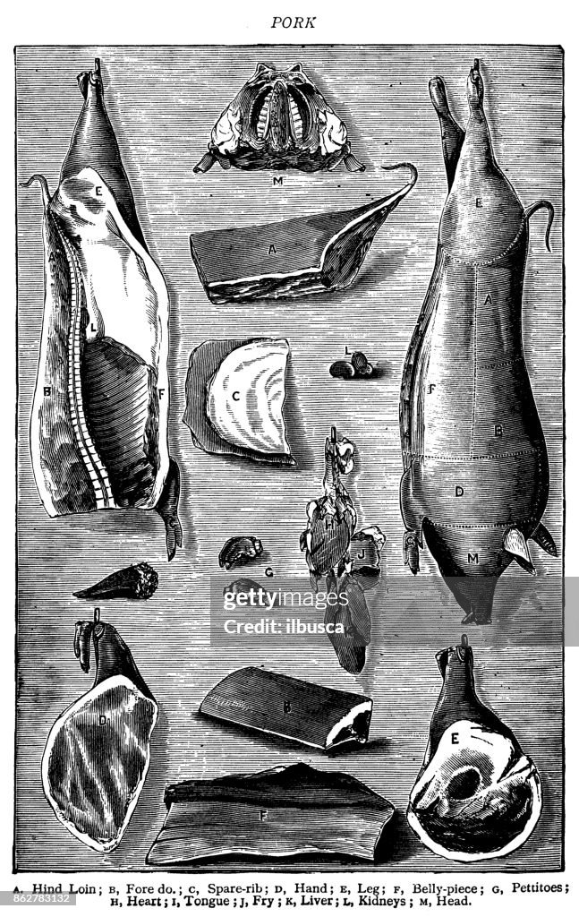 Antique recipes book engraving illustration: Pork