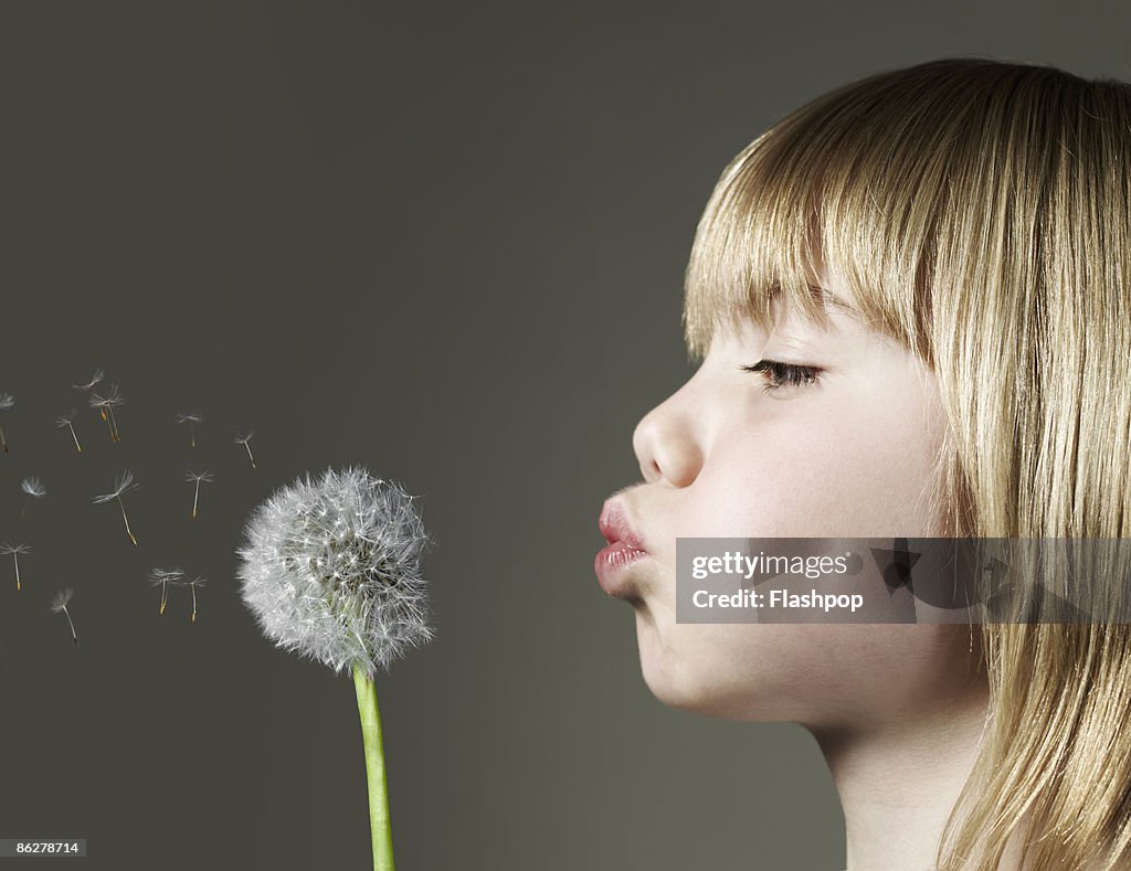 Portrait of boy blowing a dandelion head