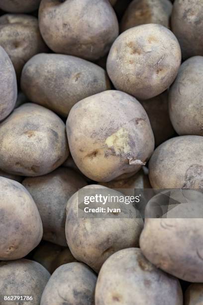 full frame shot of fresh potatoes - hokkaido potato stock pictures, royalty-free photos & images