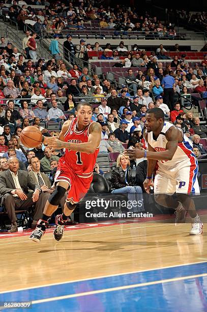 Derrick Rose of the Chicago Bulls drives to the basket past Will Bynum of the Detroit Pistons during the game on April 13, 2009 at The Palace of...