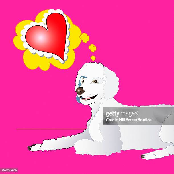 poodle dreaming of love - poodle stock illustrations