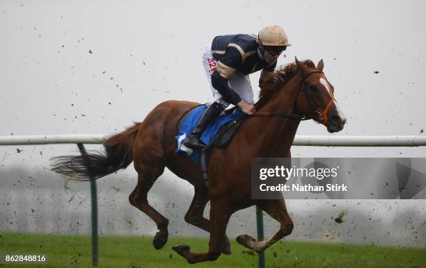 Jamie Spencer riding Mutarakez during The Kier Property Handicap Stakes at Nottingham Racecourse on October 18, 2017 in Nottingham, England.