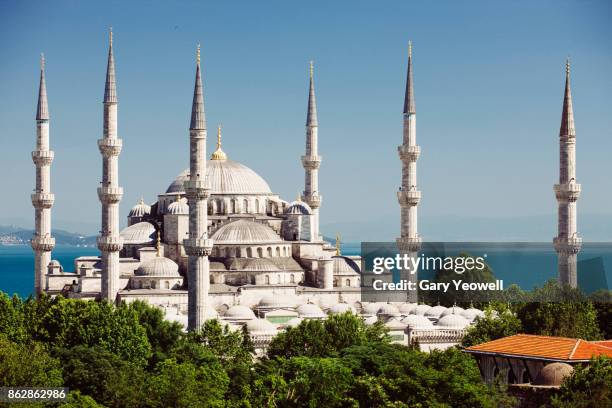 blue mosque in istanbul - moschea blu istanbul foto e immagini stock